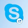 Microsoft  Skype:     